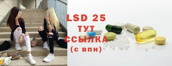 тгк Горнозаводск